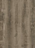 Rattlesnake - SC06 - Image 2