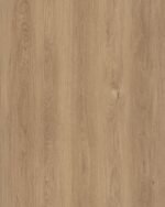 Vanity Fair - NV07 - Image 2