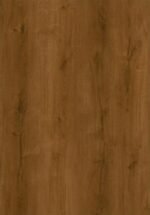 Bear - PP01 - Image 2