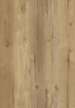 Calliope - PP03 - Image 2