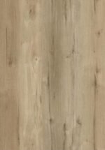 Dillon - PP05 - Image 2