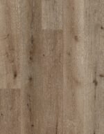 Tresure Island - NV06 - Image 3