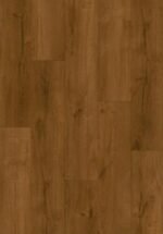 Bear - PP01 - Image 3