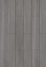 Hayes - PP06 - Image 3